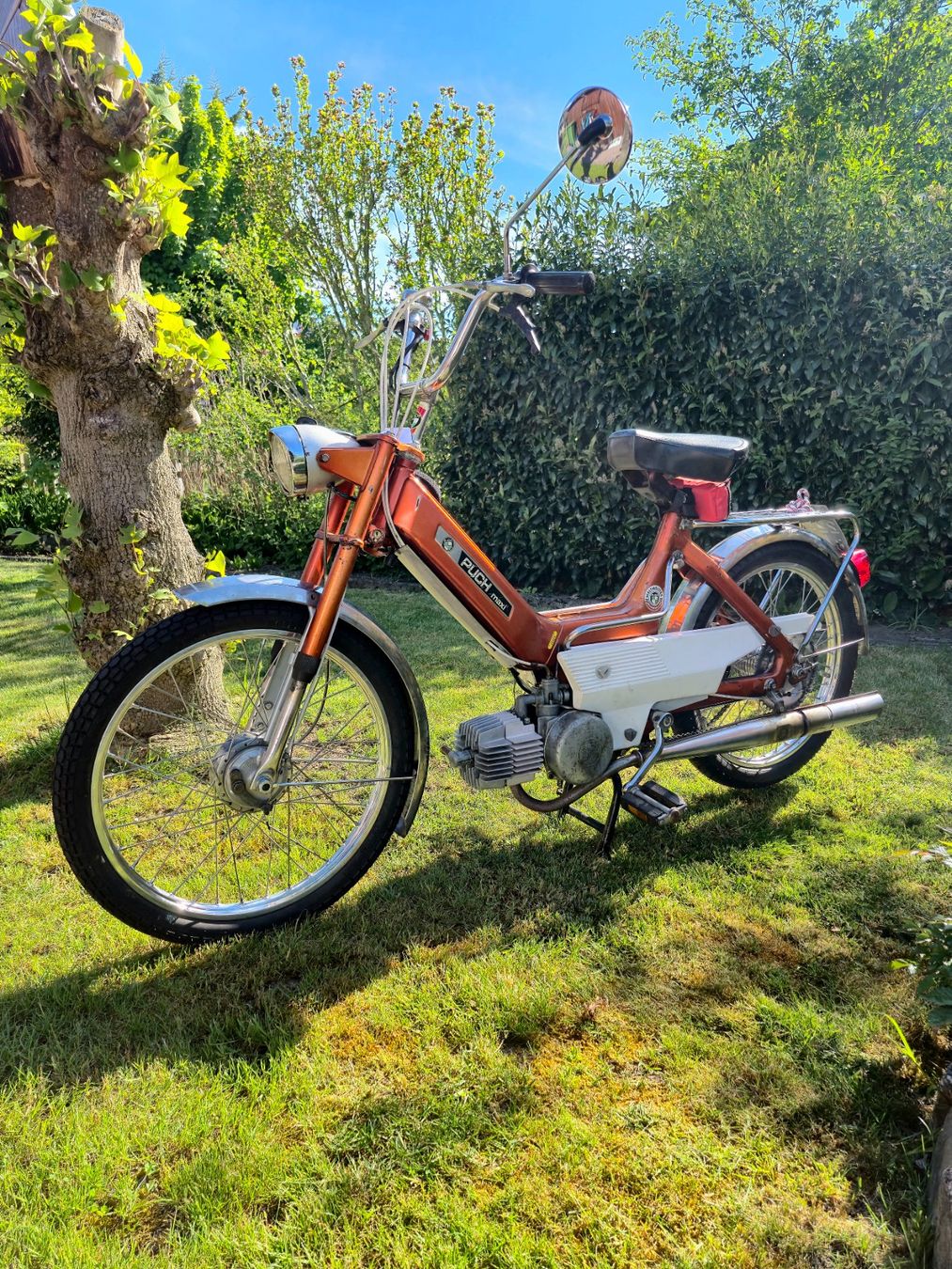 Puch Cyclomoteurs: Puch Maxi N CH 7168 – D'occasion à Niederuzwil par nic_f2574 1