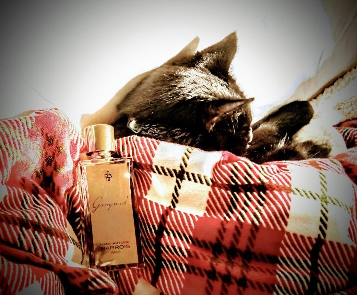Profumi & Eau de Toilette: Marc Antoine Barrois Ganymede 12 ml sample – Nuovo (secondo la descrizione) da Chêne-Bougeries venduto da Seetooyoo 6