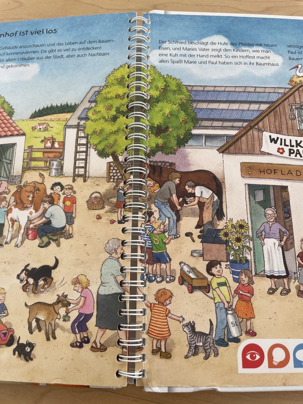 Bücher: Tiptoi Buch Entdecke den Bauernhof – Gebraucht aus Steinhausen von Guelosch 1