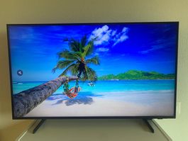 Neuer Smart-TV Samsung 43 Zoll
