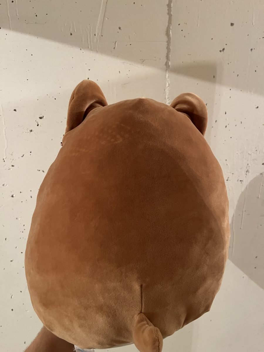 Squishmallows Giocattoli: Weichspielzeug – Usato da Bern venduto da pod_t7lg 1