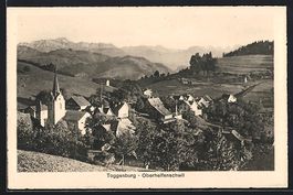 Toggenburg-Oberhelfenschwil, Teilansicht