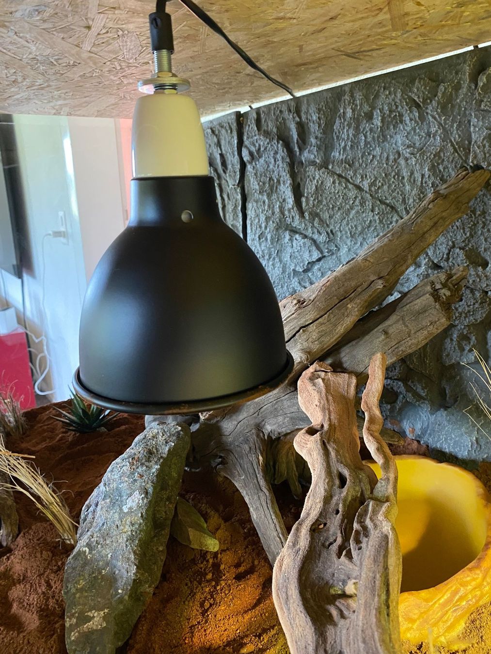 Terrariums: Wüstenterrarium mit Einrichtung – Neuf (Voir description) à Bülach par jon_c57r 3