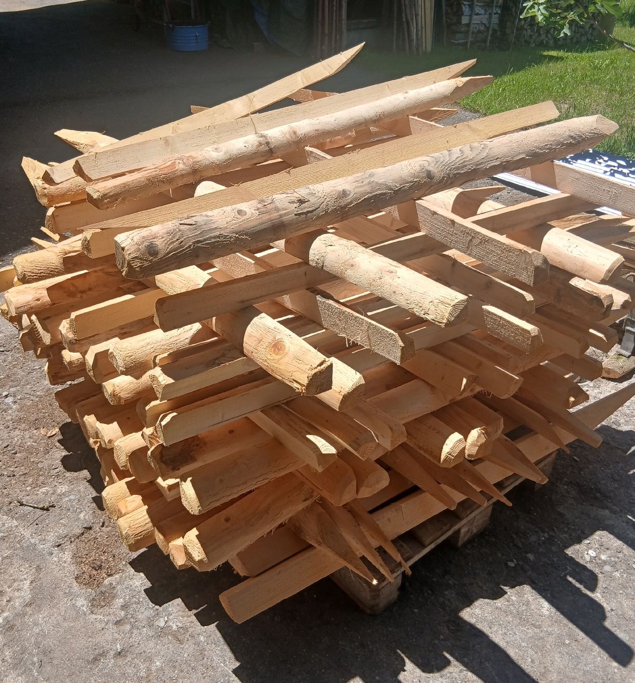 Altre attrezzature per stalle: Pfähle 1.5m – Nuovo (secondo la descrizione) da Brenzikofen venduto da Nramseier
