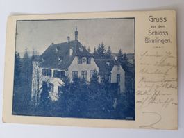 Gruss aus Schloss Binningen - Alte Postkarte, Rarität R4