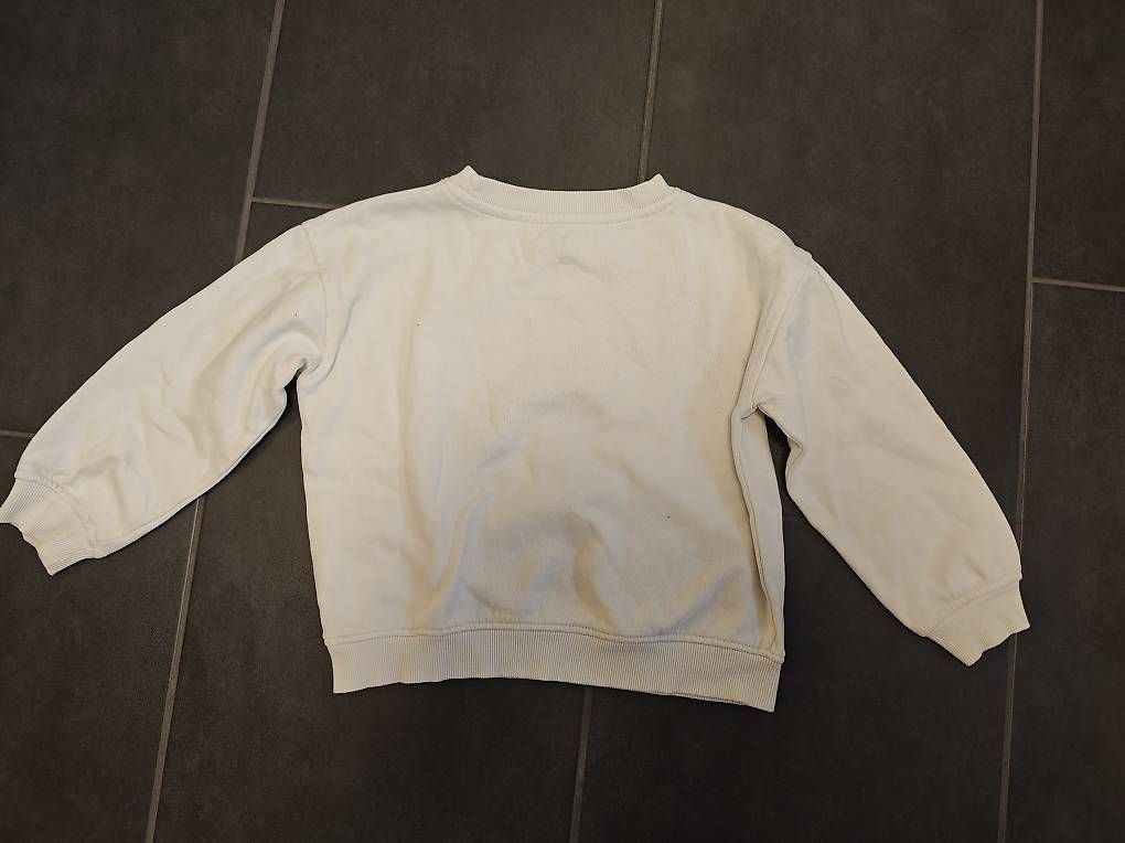 Pullover & Sweatshirts: Pullover 110/116 – Gebraucht aus Untersiggenthal von schnaegg8542 1