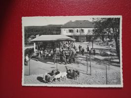 Zürich Restaurant Zio s/w Karte stark belebt