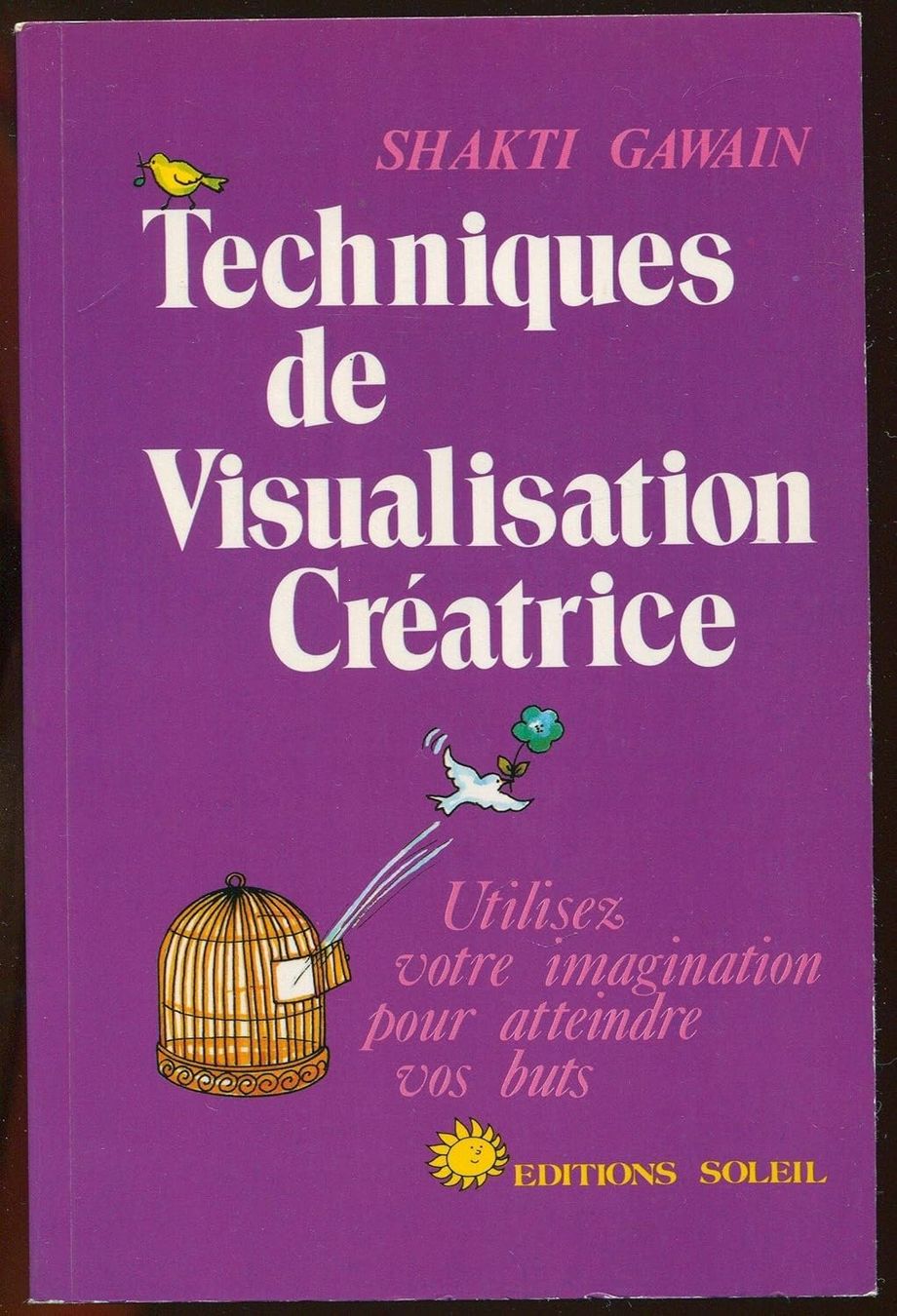 Libri: Techniques de visualisation créatrice – Usato da Neuchâtel venduto da Dualseele
