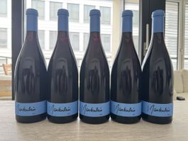 5 x Gantenbein Pinot Noir 2024 -  Best price online