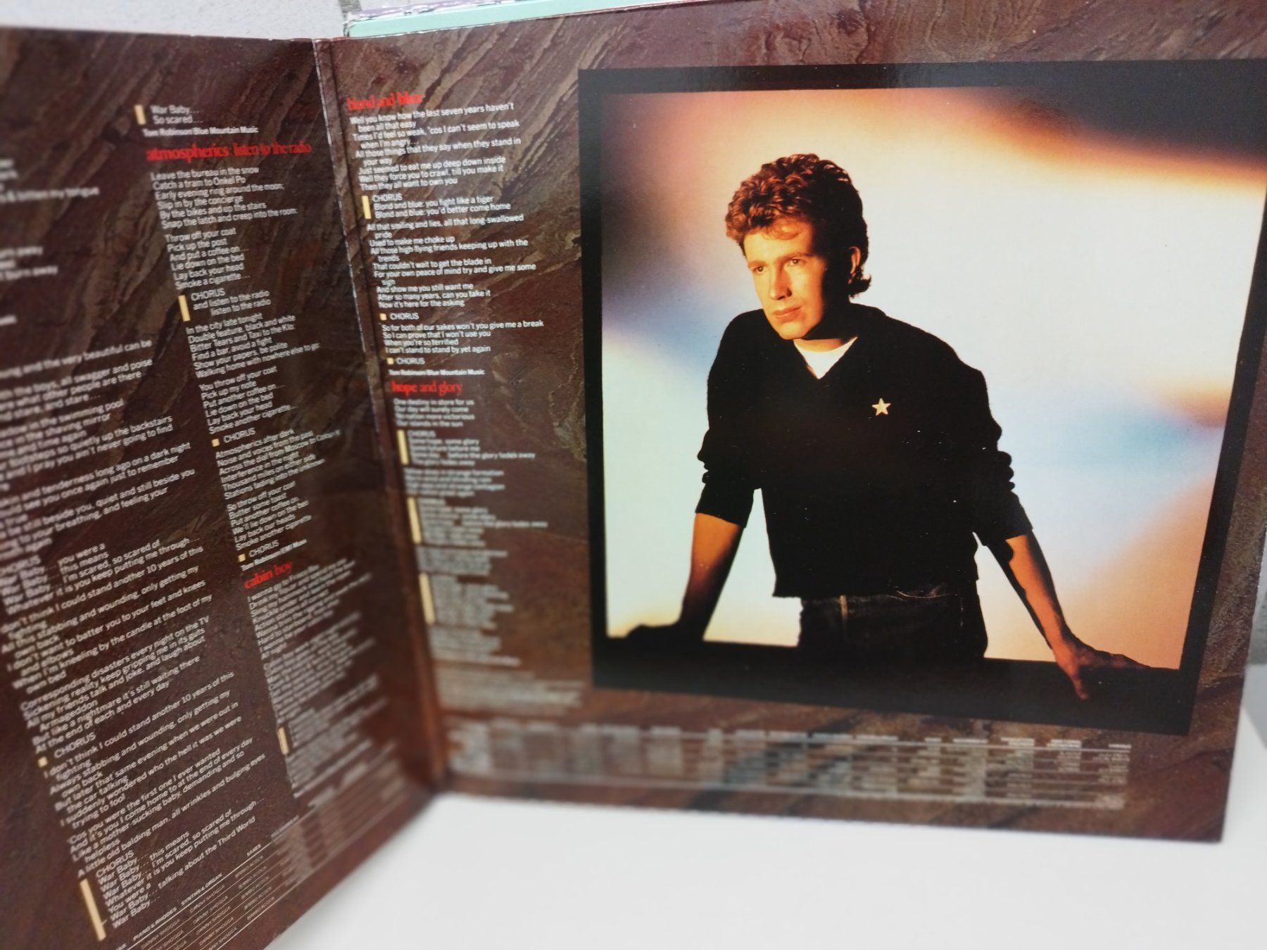 Dischi in vinile: LP. Ab Fr 1.--  Titel  siehe Foto – Usato da Lupfig venduto da fred-feuerstein 1