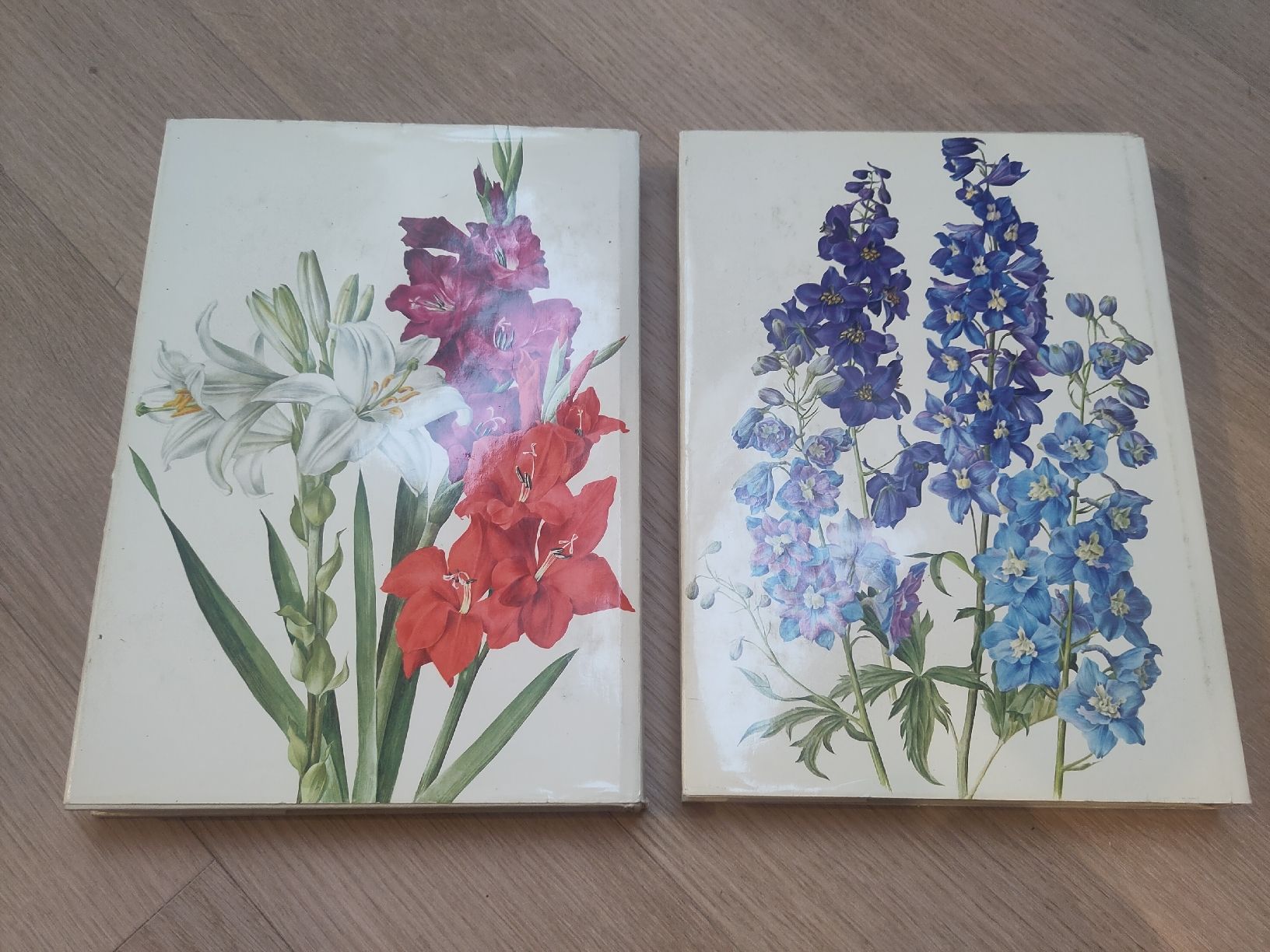 Livres: Zwei antike Bücher "Wunderwelt der Garten, schön illustriert – D'occasion à Zürich par her_yqt7 3