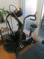 Schwinn Airdyne AD8 Air / Assault Bike