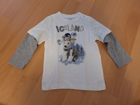 Langarmshirt "Iceland" von Idexe in Gr. 92