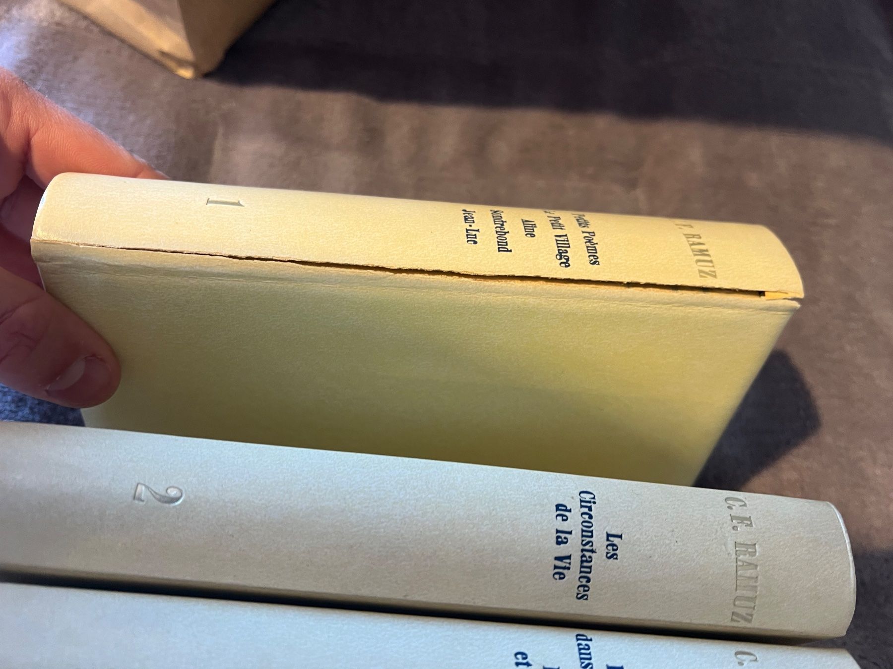 Libri: Collection C.F. Ramuz - 20 Volumes - Édition Originale! – Usato da Gryon venduto da Merlin_mro 4