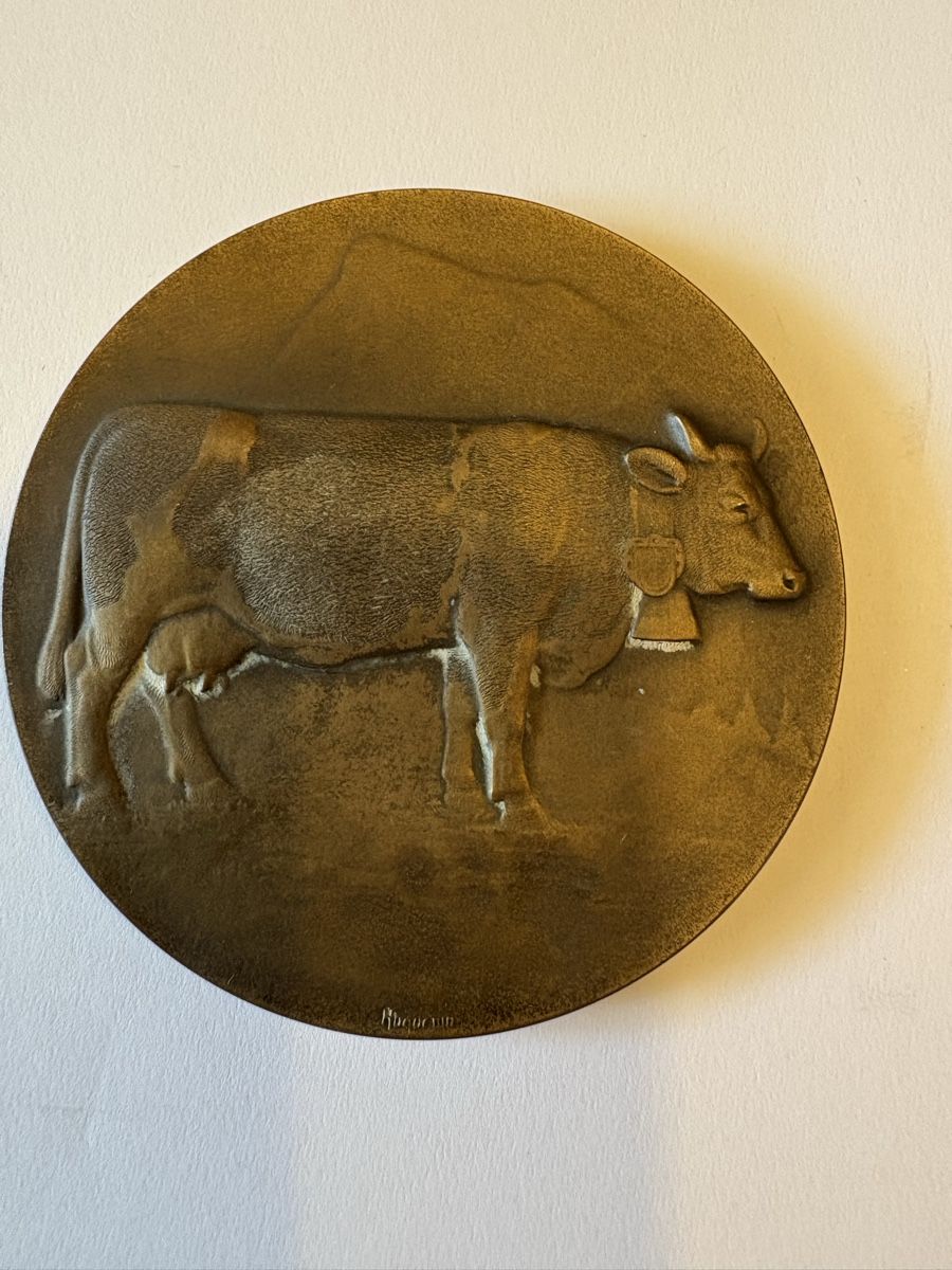 Medaillen: Bronzemedaille 1947 Freiburg  – Gebraucht aus Murten von Tzaugg 4