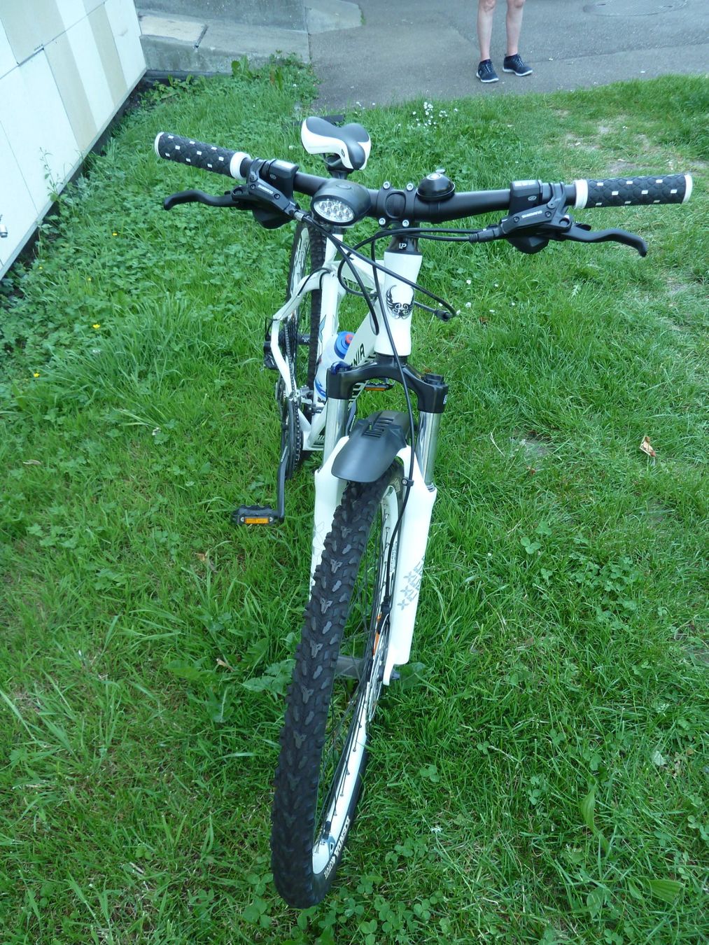 Biciclette: Mountainbike  Calofornia – Usato da Basel venduto da kapi5454 4