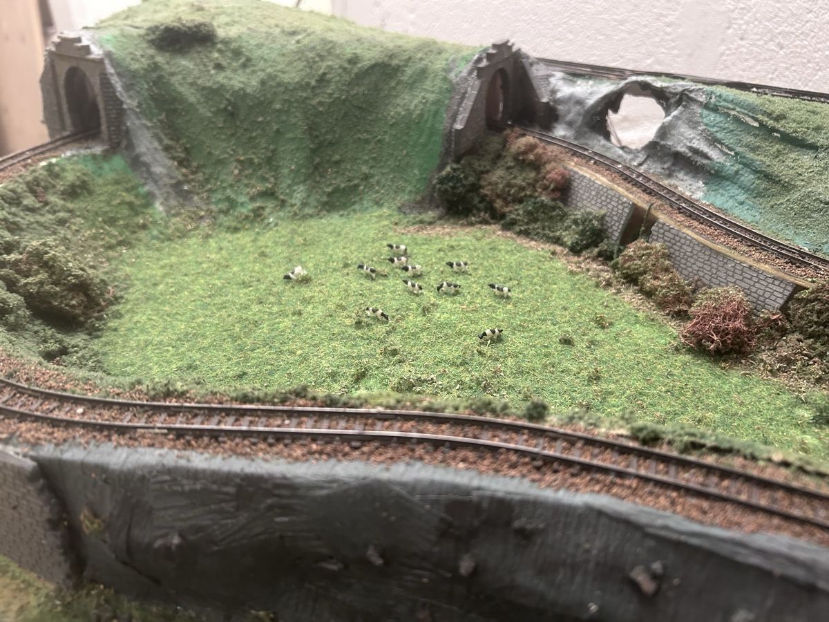 Modellini di ferrovie: Maquette de train N (1:160) – Usato da Attalens venduto da tresheureux 4