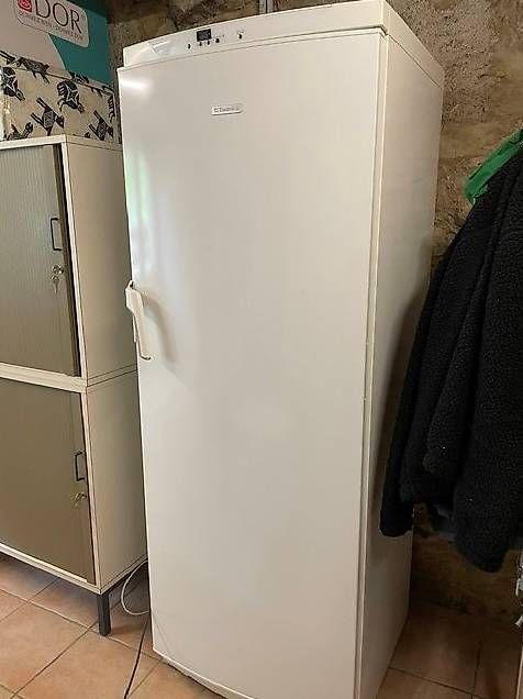 Gefrierschrank: Electrolux Gefrieschrank EUF2704 – Gebraucht aus Stäfa von roggo1