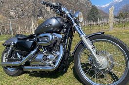 Harley-Davidson Roadster XL 1200 Custom!
