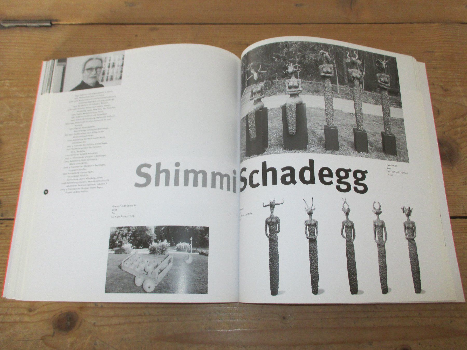 Libri: Bad Ragartz 2009 – Usato da Flims - Dorf venduto da Stagediver 9