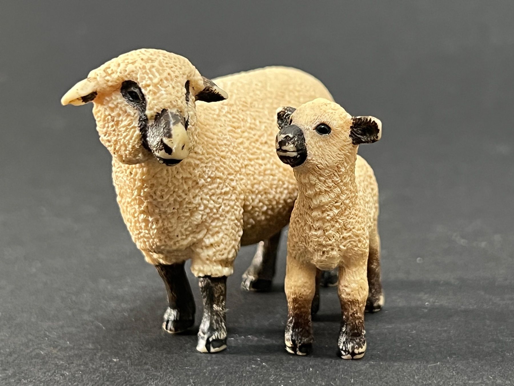 Schleich Figuren: Schleich 13681 Shropshire Schaf – Gebraucht aus Ennetbaden von mapa05 6