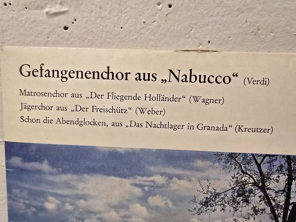 Dischi in vinile: Gefangenenchor aus "Nabucco" – Usato da Heimberg venduto da Cpidu 2