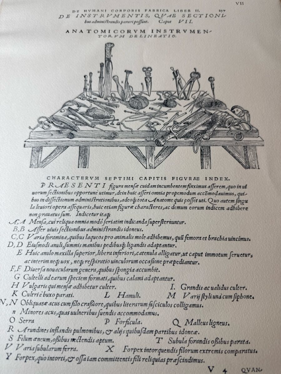 Libri: Le livre avec 9 planches anatomiques – Usato da Schmitten FR venduto da Hohezelg 3
