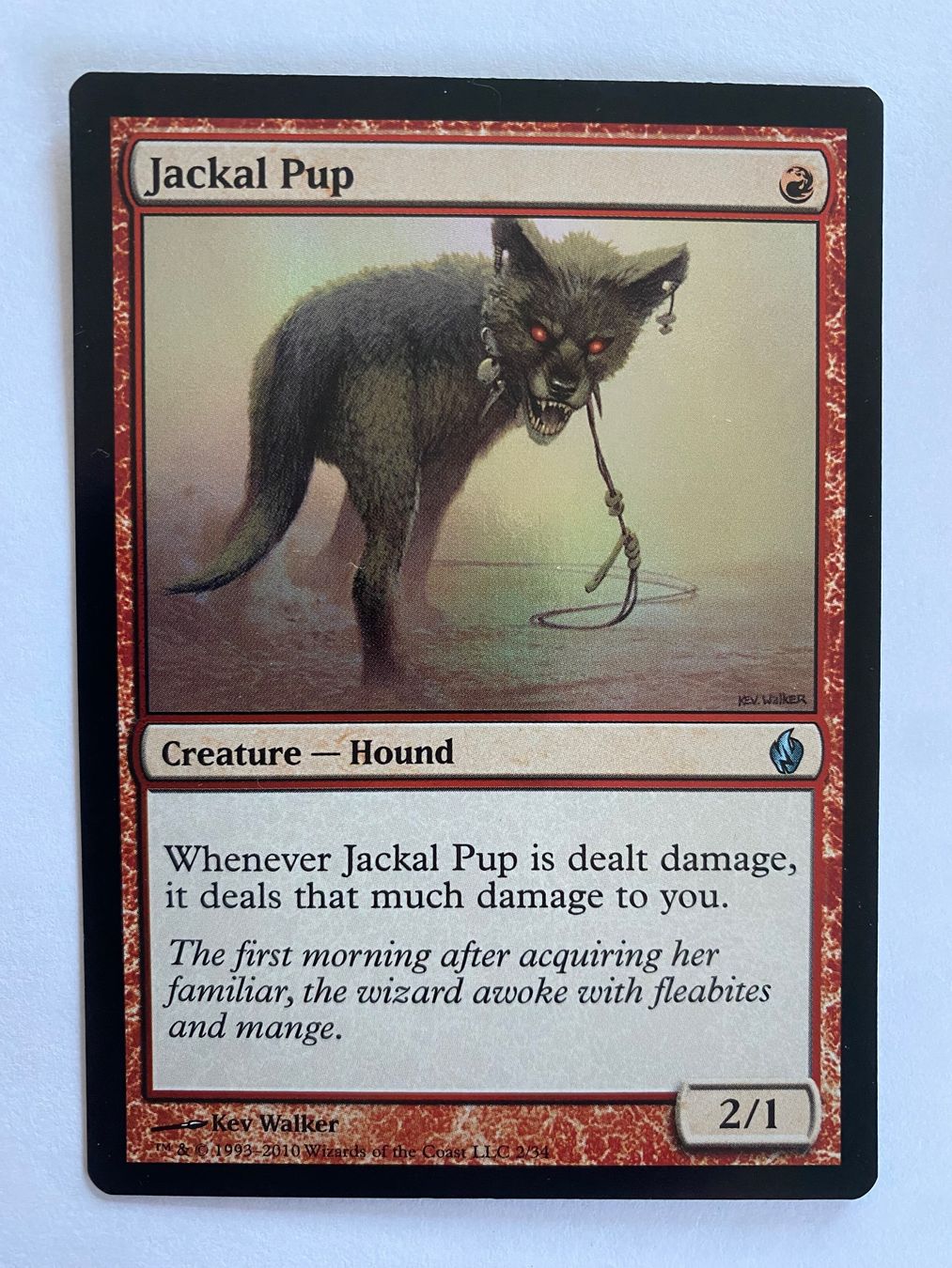 Magic The Gathering Sammelbilder & Trading cards: Jackal Pup - Premium Deck Series: Fire and Lightning – Gebraucht aus Bonstetten von ddiederichs