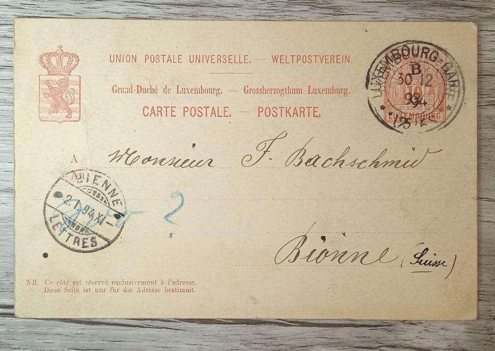 Carte Postale Ancienne Originale – Kötzschenbroda – Lössnitzgrund – Années 1920 – Allemagne