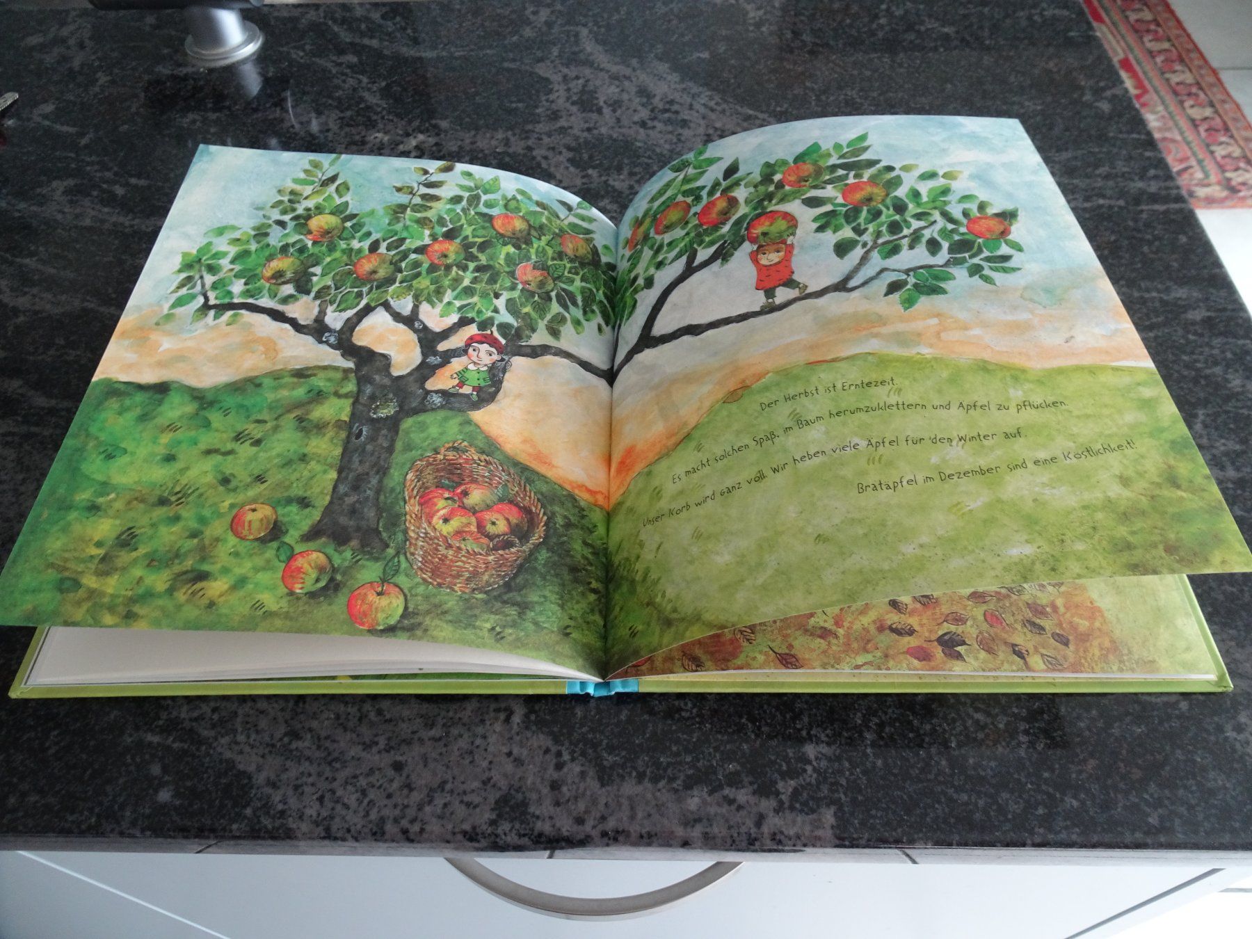 Libri: Bilderbuch Unser Apfelbaum - Neuwertig wunderschöne Bilder – Usato da Zürich venduto da Roulet 7
