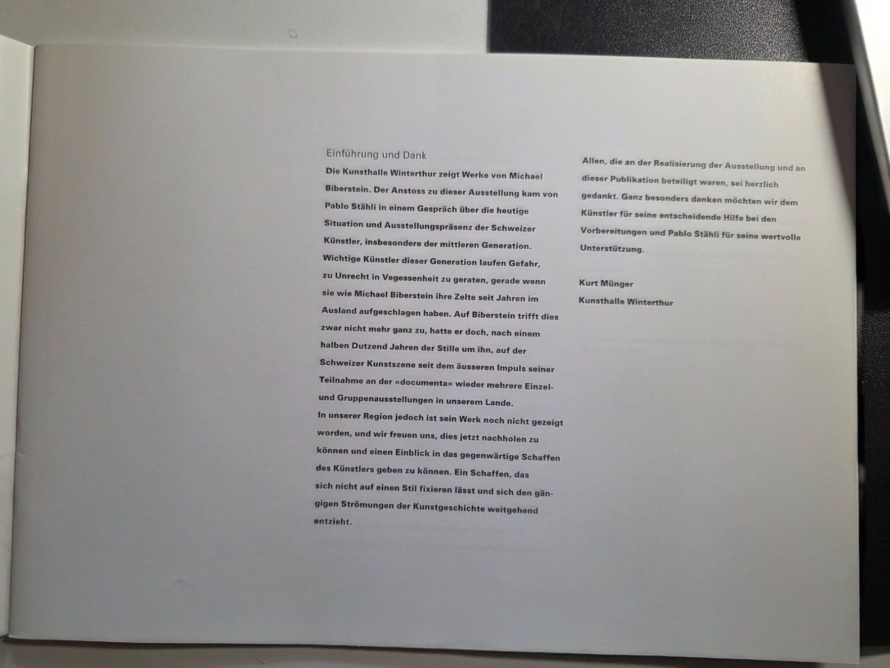 Libri: Michael Biberstein - Kunsthalle Winterthur 1995 – Usato da Walterswil BE venduto da Lonitti 3