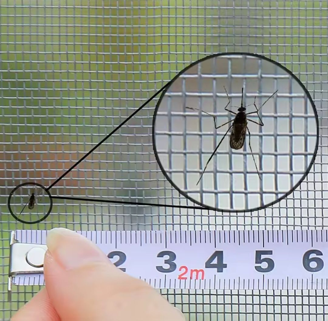 Altro per la casa: Insektenschutz, Fliegengitter 200x400cm grau Polyester – Nuovo e nell'imballaggio originale da Menziken venduto da Mirager 2