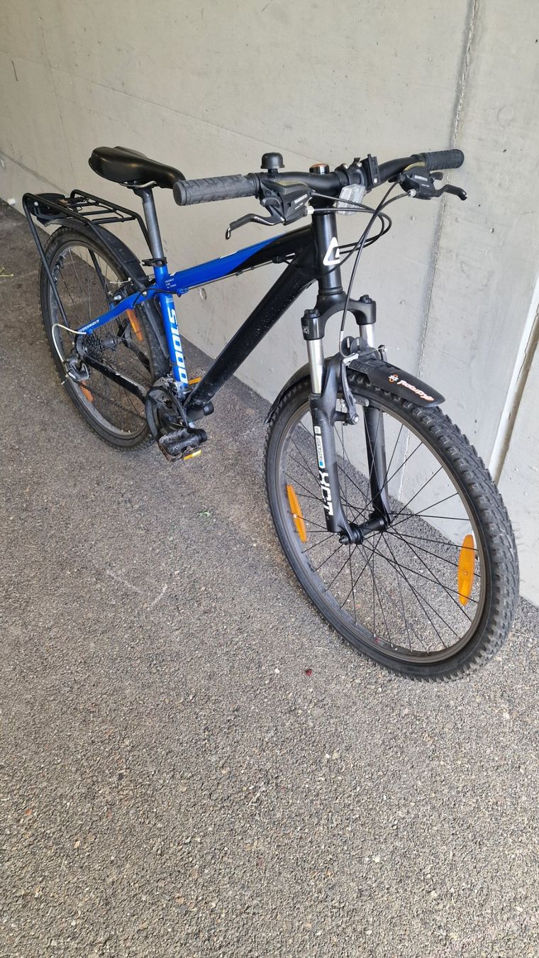 Crosswave Biciclette: Fahrrad Cross Wave S1000 – Usato da AU-ZH venduto da Trinity_W 1