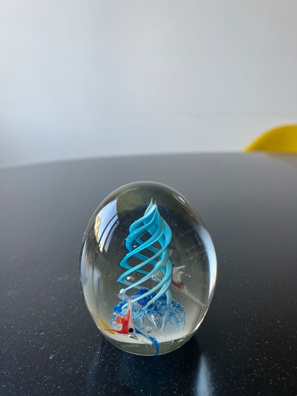 Murano Bicchieri: Murano Aquarium-Briefbeschwerer – Usato da Zürich venduto da omni64 6