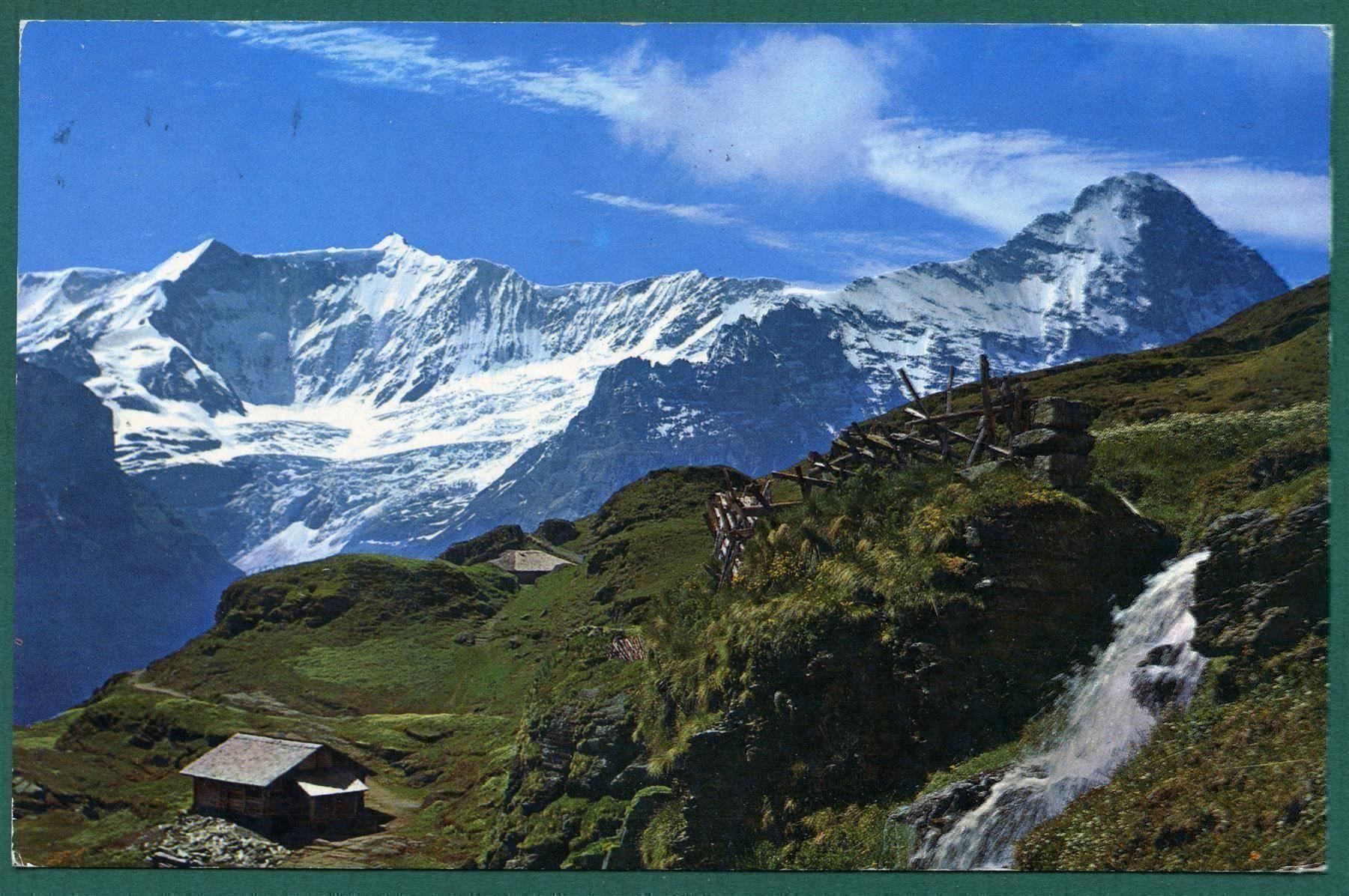 Cartoline postali: Grindelwald-First,1989, gelaufen – Usato da Sargans venduto da Hausi1951