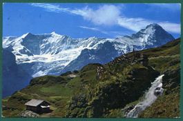 Grindelwald-First,1989, gelaufen