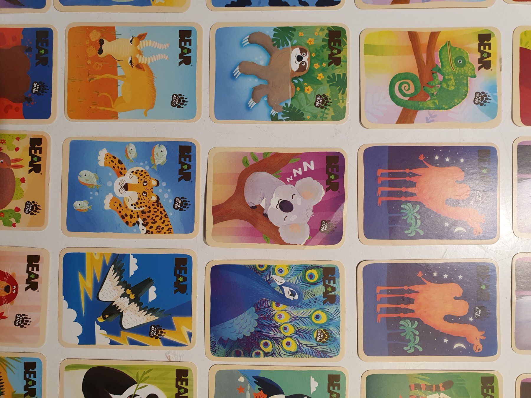 Giochi: Bear Kartenspiel 2 Stk fehlen – Usato da Zürich venduto da loosebone 5