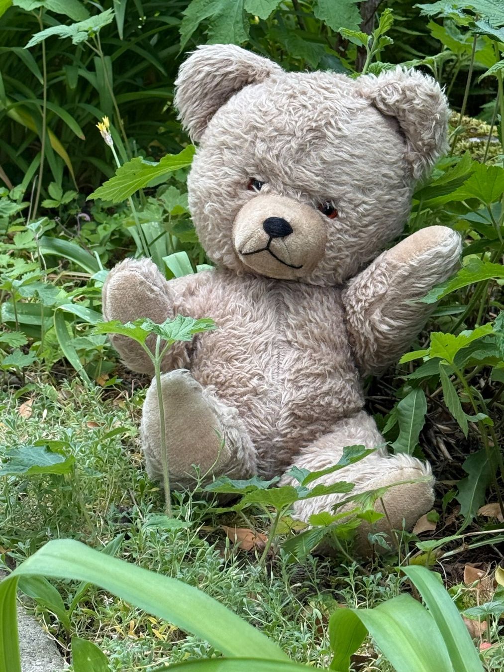 Giocattoli: Antiker Teddybär, Bär, kein Steiff – Usato da Dietikon venduto da Princessy