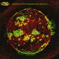 311 – From Chaos