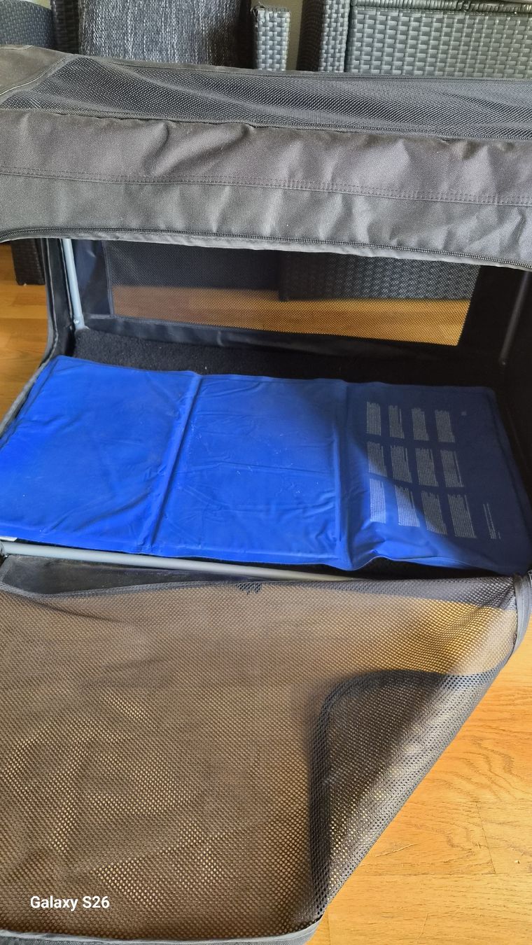 Niches, paniers: Hunde Box  – D'occasion à Oberglatt ZH par nat_c6k7 2