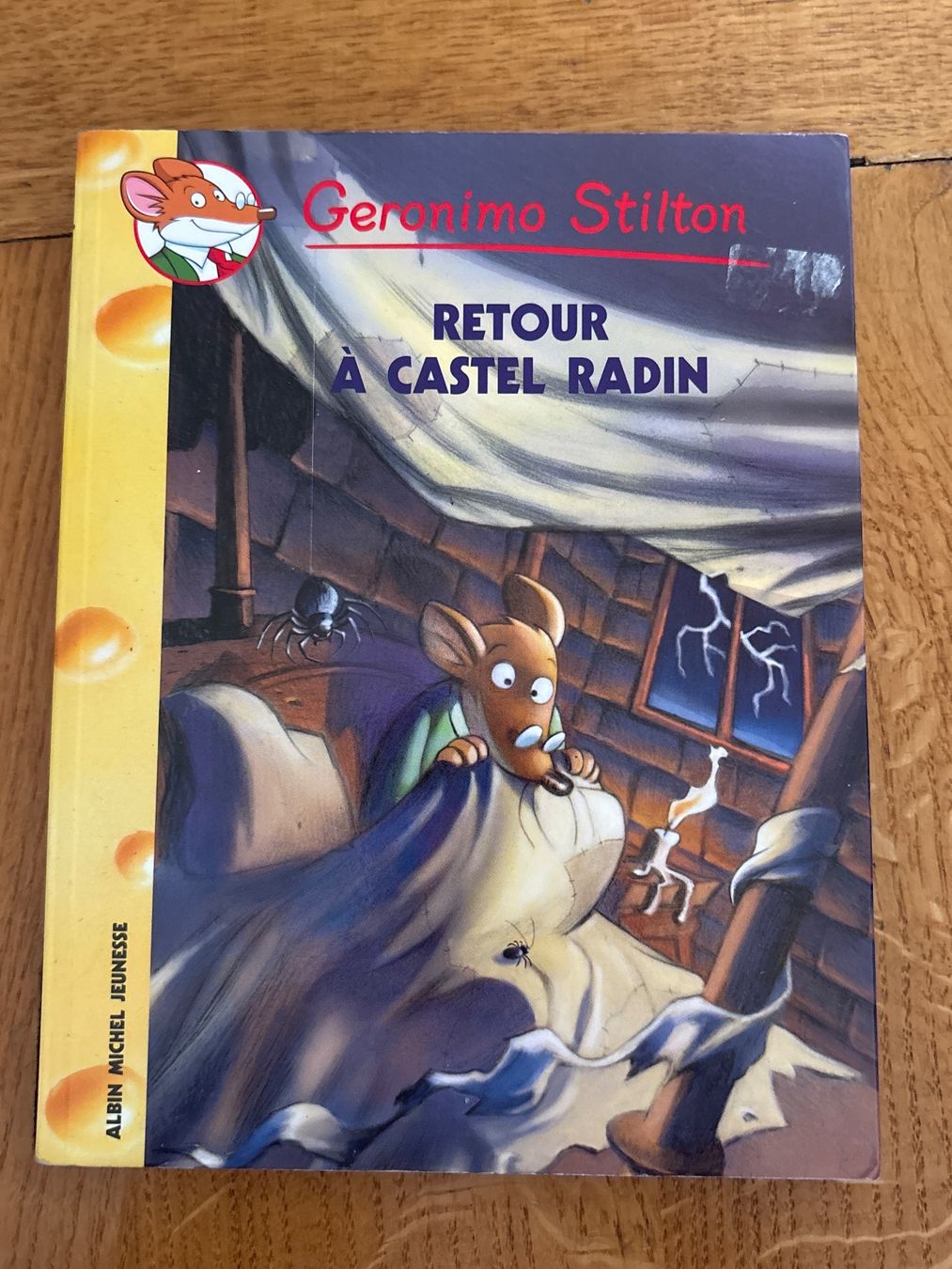 Libri: Geronimo Stilton: Retour à Castel Radin – Usato da Genève venduto da Livsonman