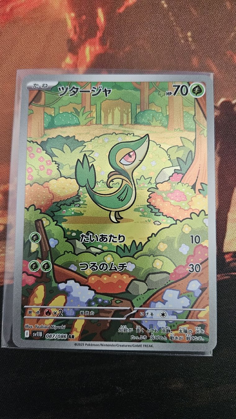 Pokémon Carte collezionabili: snivy 087/086 – Nuovo (secondo la descrizione) da Castel San Pietro venduto da pie_k8j6