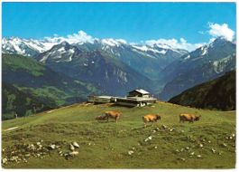 Lungern - Gondelbahn Breitenfeld--Schönbüel
