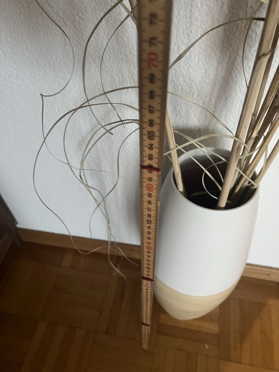 Tutte le decorazioni: Pampas Gras inkl. Vase – Usato da Tuggen venduto da Tantas 2