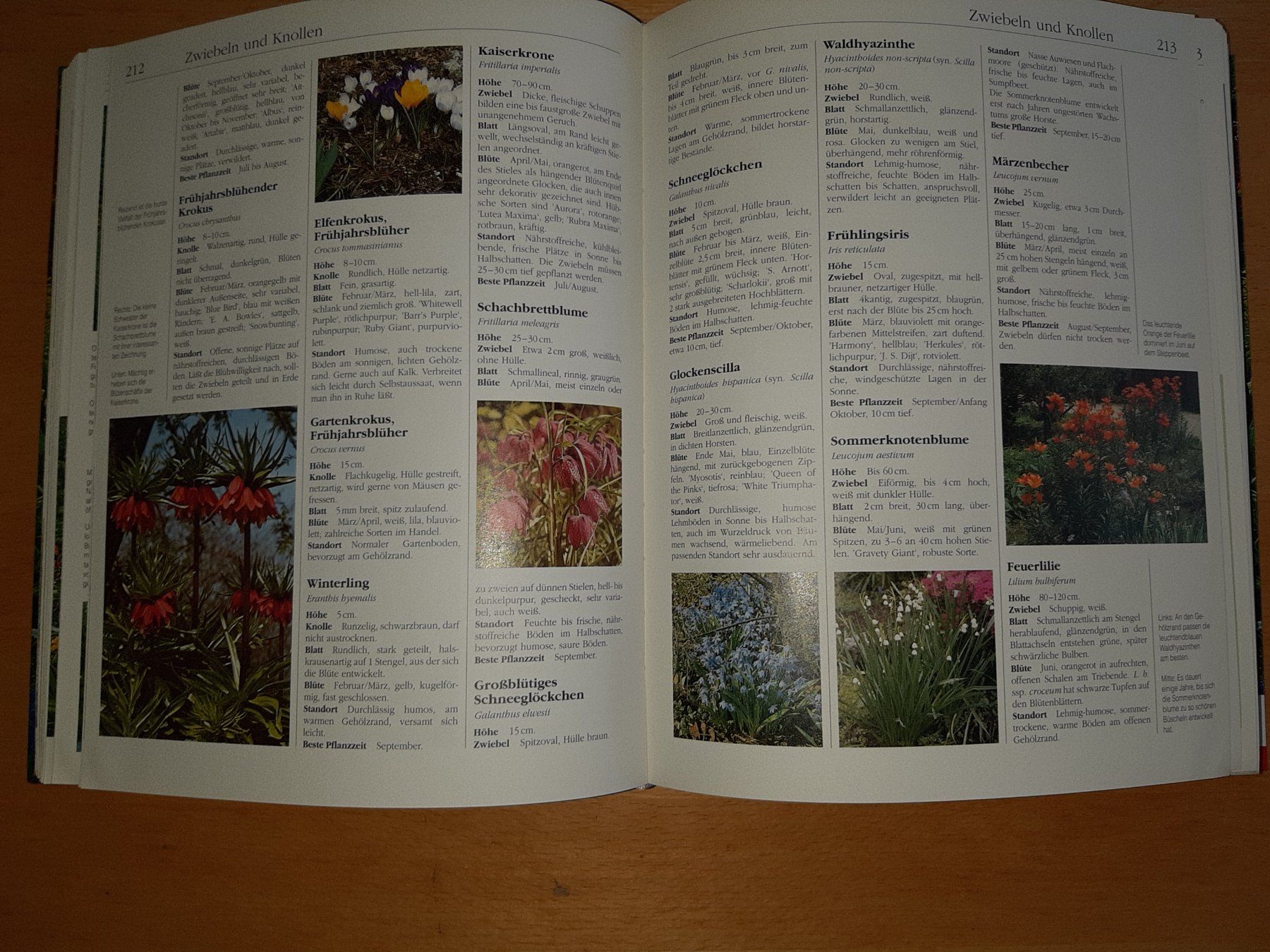 Libri: Handbuch Garten: Umfassendes Nachschlagewerk – Usato da Rotkreuz venduto da nigal 6
