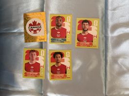 Kanada Panini WM 2026