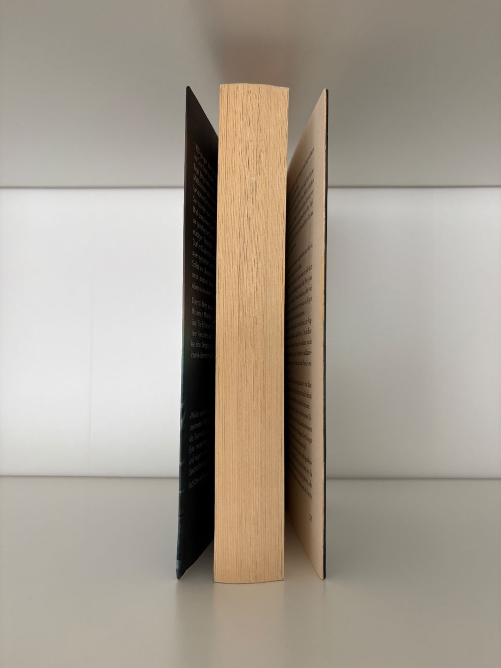 Libri: Die Träumenden - Karen Thompson Walker – Usato da Steffisburg venduto da elsa.catalina 3
