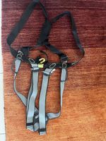 Schwangerschafts Klettergurt edelrid 