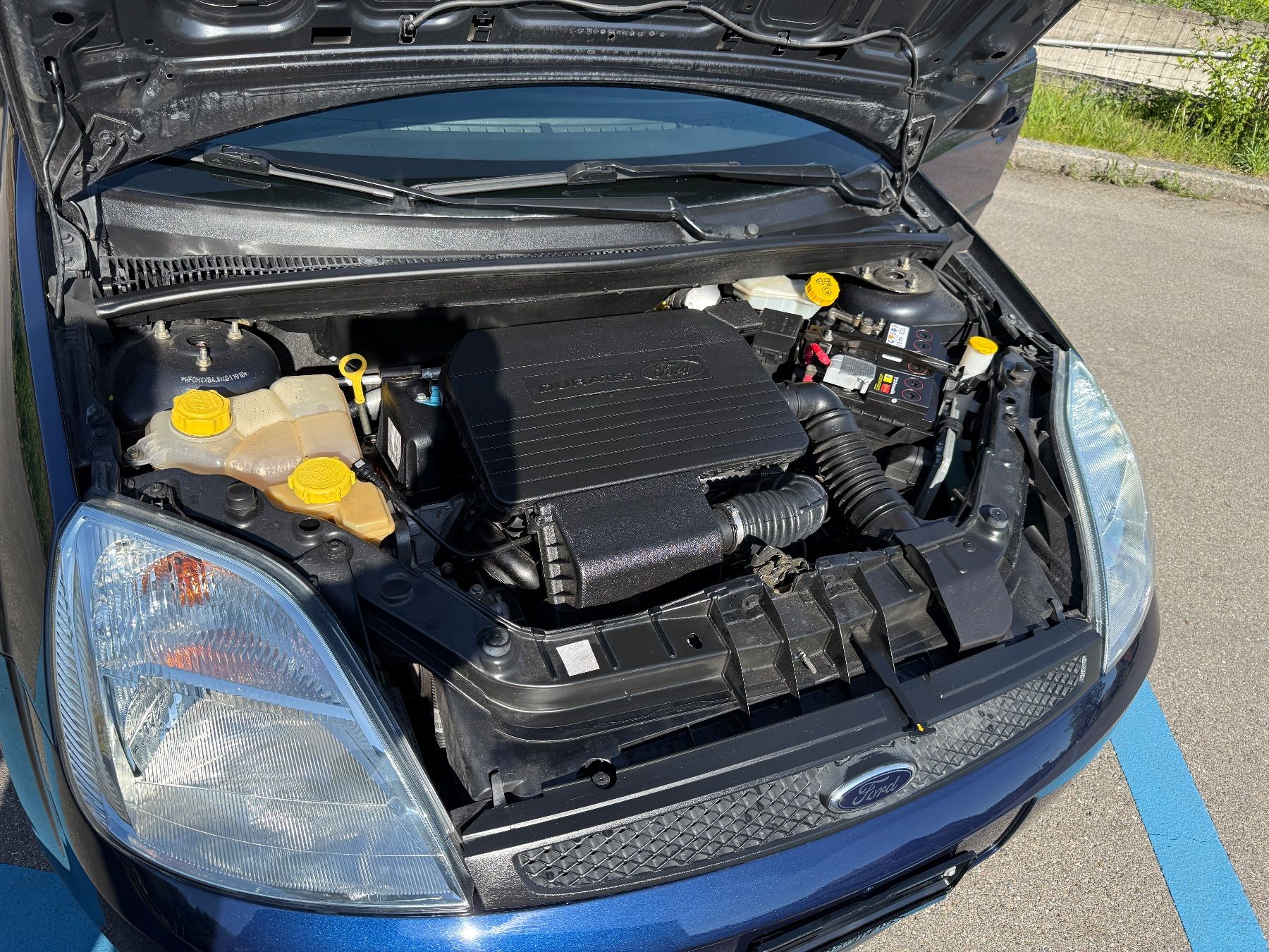 Ford Automobili: Ford Fiesta 1.3 – Usato da Volketswil venduto da Scoobi500 5