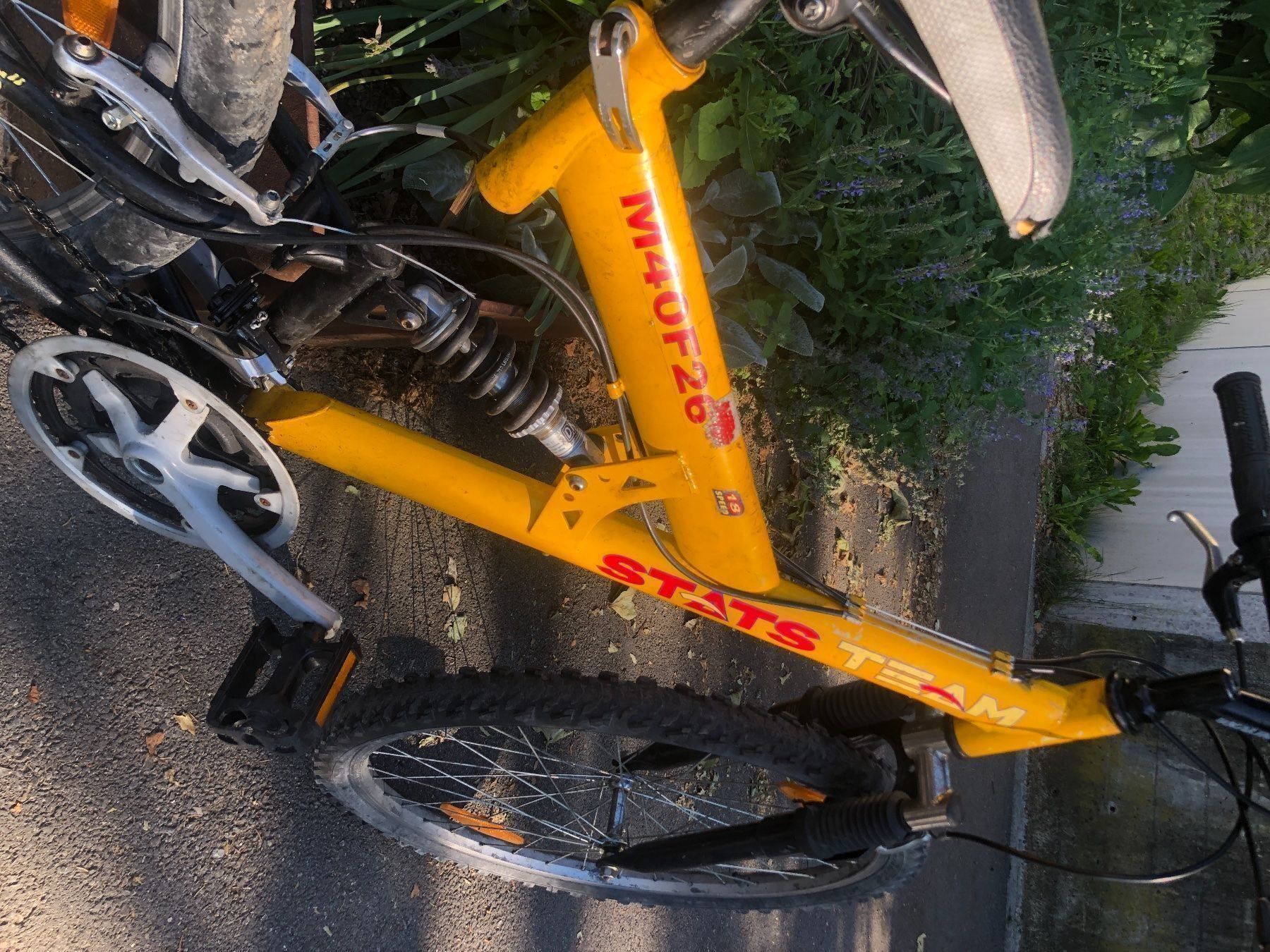 Velos: Mountainbike Stats Team – Gebraucht aus Schlieren von Flower5 2